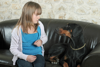 appréhension d’une fillette avec un dobermann